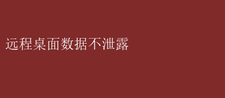 远程桌面数据不泄露：构建安全高效远程工作防线的关键探讨